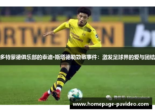 多特蒙德俱乐部的泰迪·斯塔德勒致敬事件：激发足球界的爱与团结