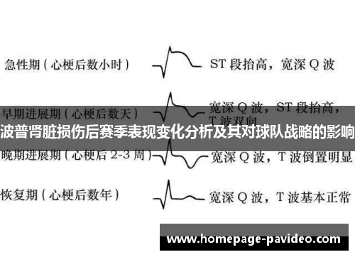 波普肾脏损伤后赛季表现变化分析及其对球队战略的影响