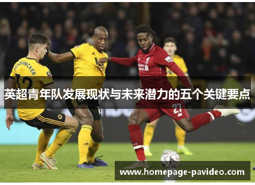 英超青年队发展现状与未来潜力的五个关键要点