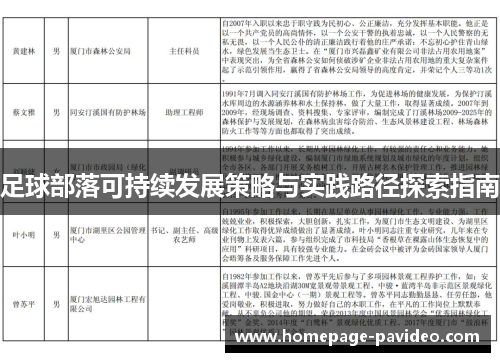 足球部落可持续发展策略与实践路径探索指南