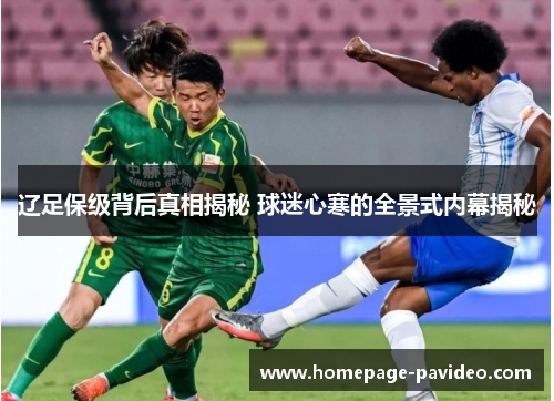 辽足保级背后真相揭秘 球迷心寒的全景式内幕揭秘 辽足保级背后真相揭秘 球迷心寒的全景式内幕揭秘