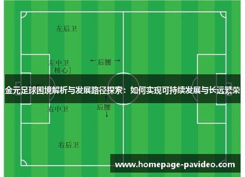 金元足球困境解析与发展路径探索：如何实现可持续发展与长远繁荣