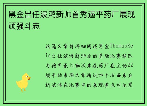 黑金出任波鸿新帅首秀逼平药厂展现顽强斗志